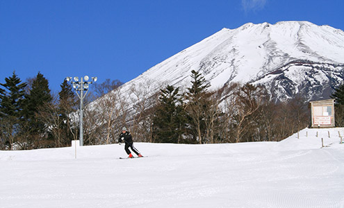 エリア紹介｜スノーパークYeti