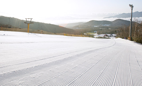 D滑雪場